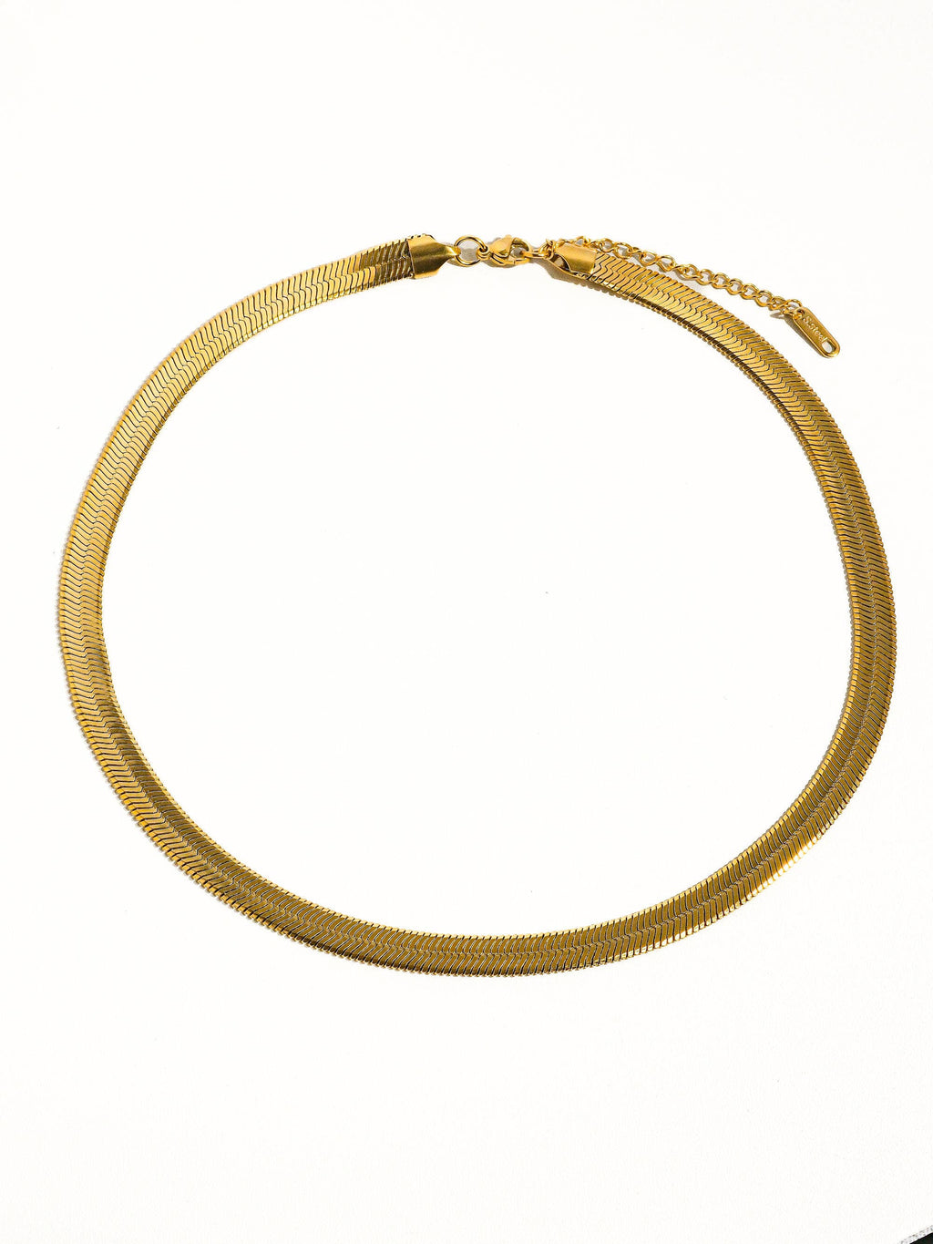 EVA Signature Snake Chain
