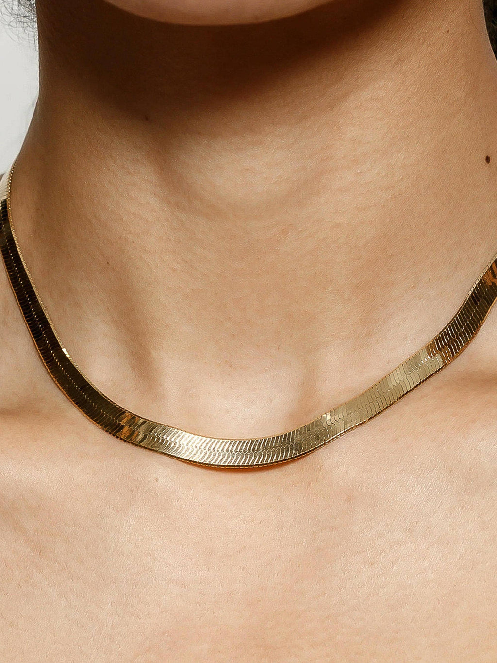 EVA Signature Snake Chain
